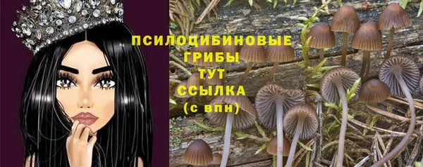 apvp Аркадак