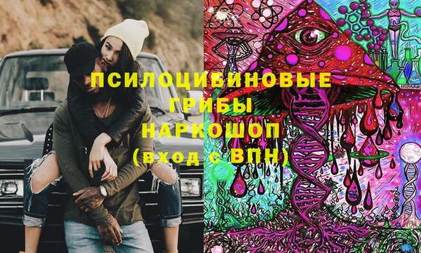 apvp Аркадак