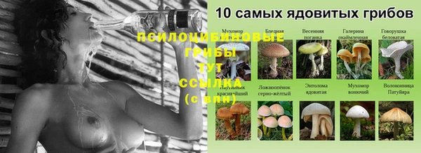 2c-b Армянск